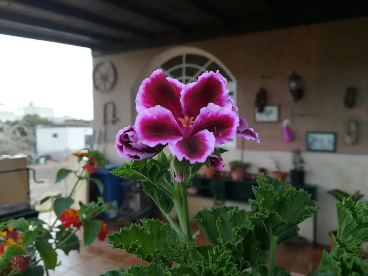 Homestay Casa Papi Apartment Lajares
